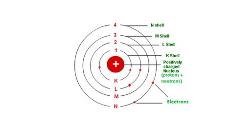 What Particles Orbit Around The Nucleus