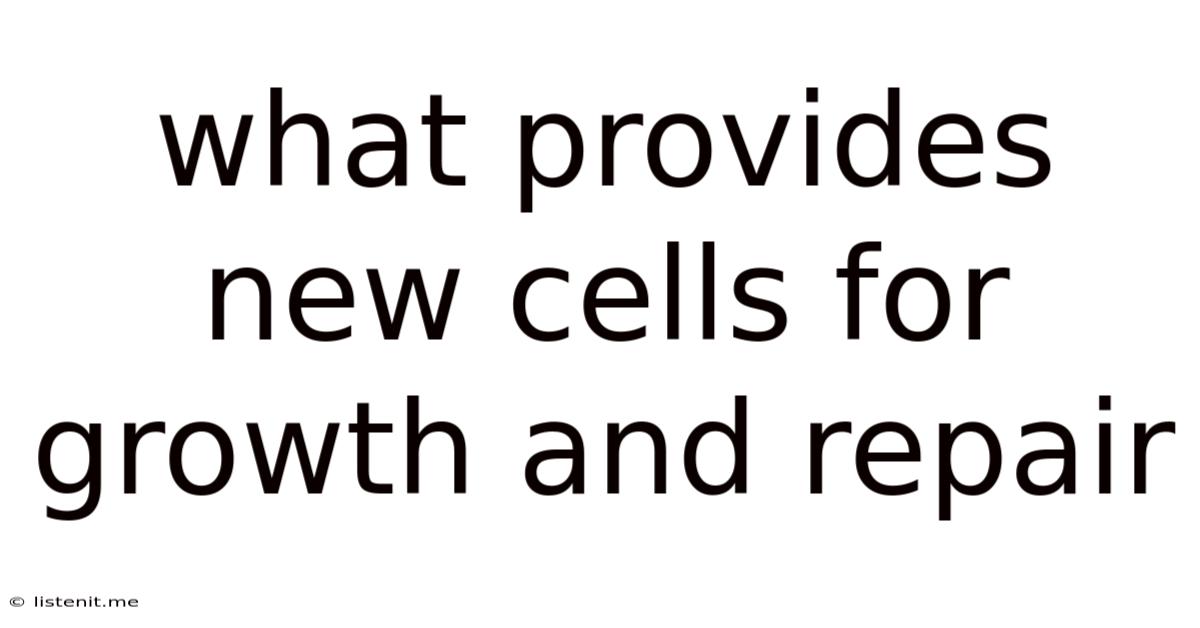 What Provides New Cells For Growth And Repair