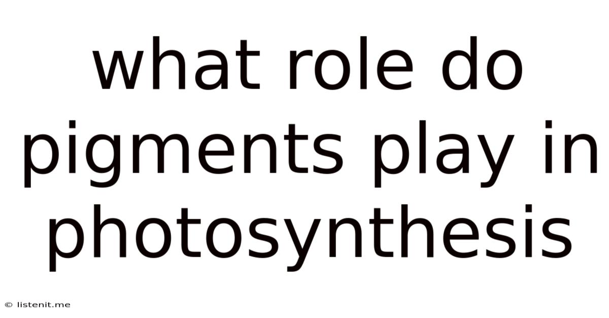 What Role Do Pigments Play In Photosynthesis