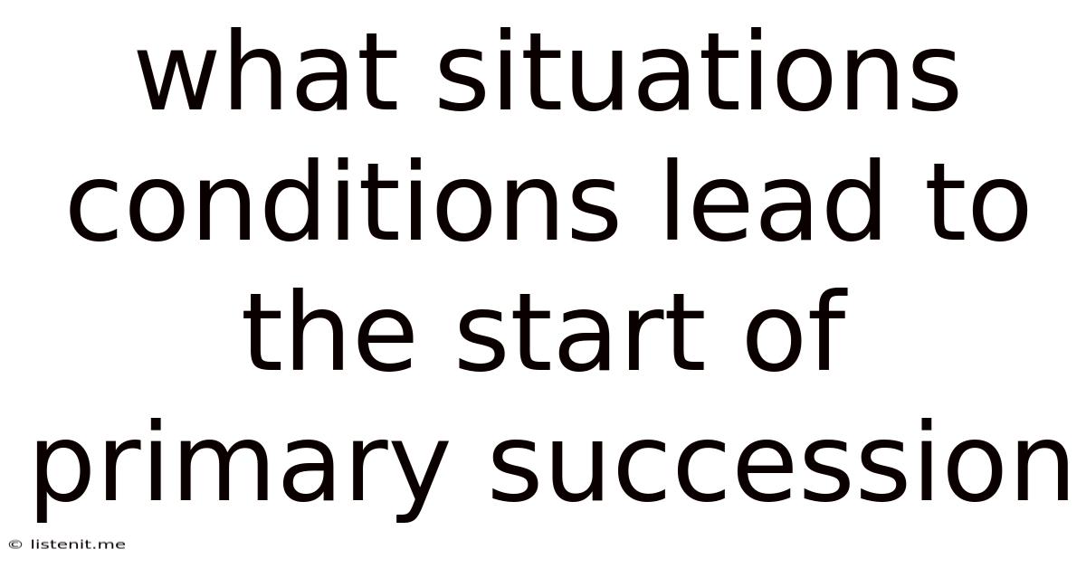 What Situations Conditions Lead To The Start Of Primary Succession