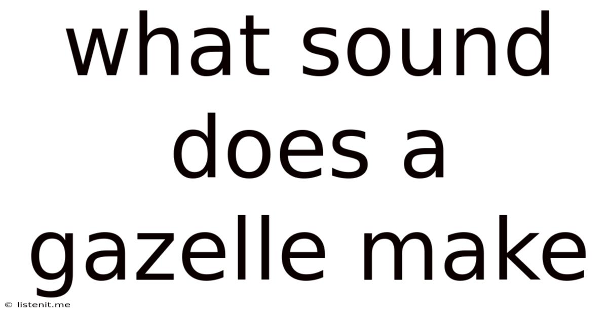 What Sound Does A Gazelle Make