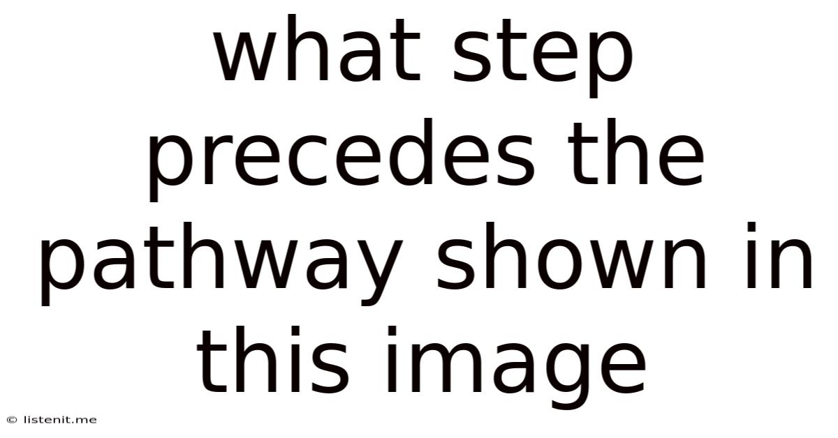 What Step Precedes The Pathway Shown In This Image