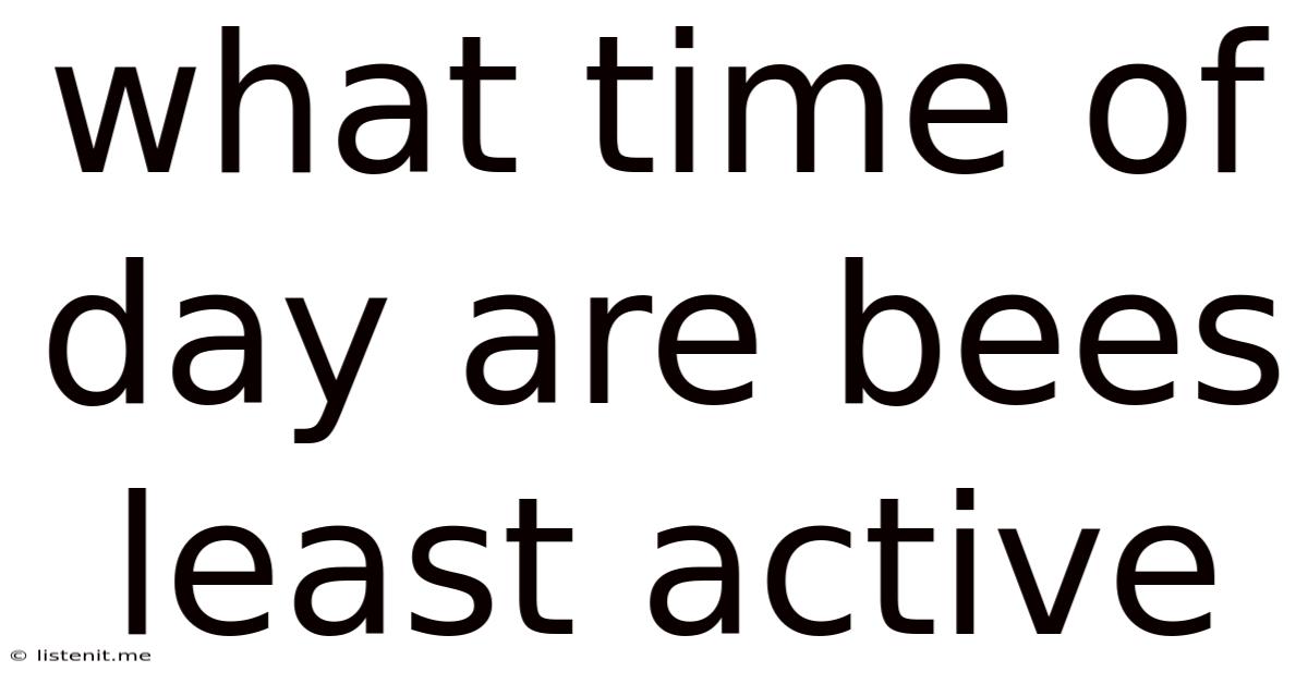 What Time Of Day Are Bees Least Active