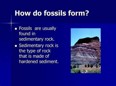 What Type Of Rock Are Fossils Usually Found In