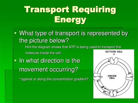 What Type Of Transport Requires Energy