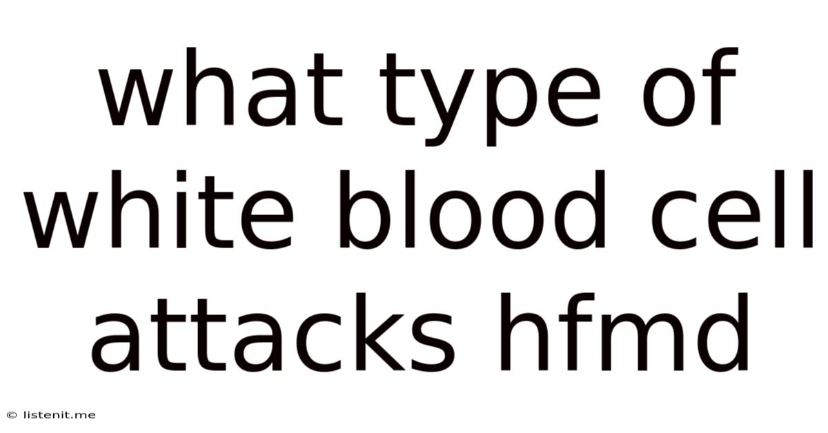 What Type Of White Blood Cell Attacks Hfmd