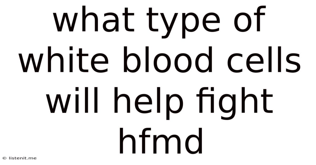 What Type Of White Blood Cells Will Help Fight Hfmd