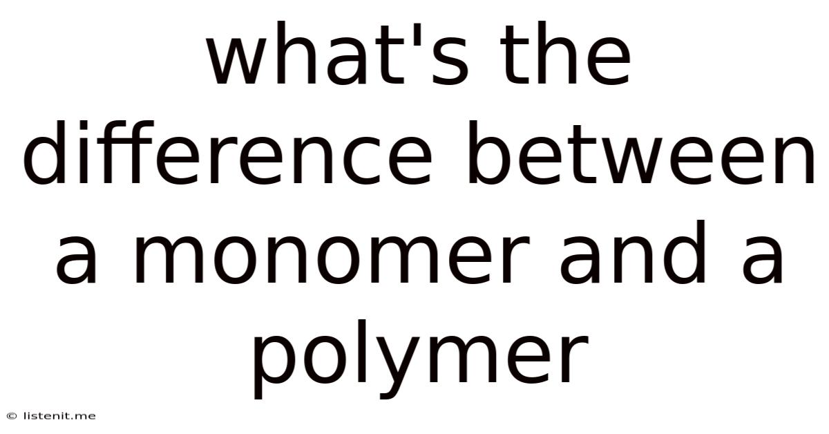 What's The Difference Between A Monomer And A Polymer