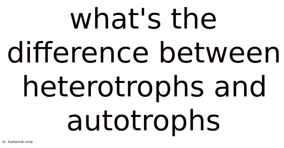 What's The Difference Between Heterotrophs And Autotrophs