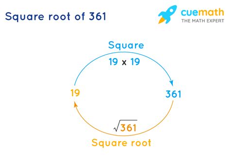 Whats The Square Root Of 361