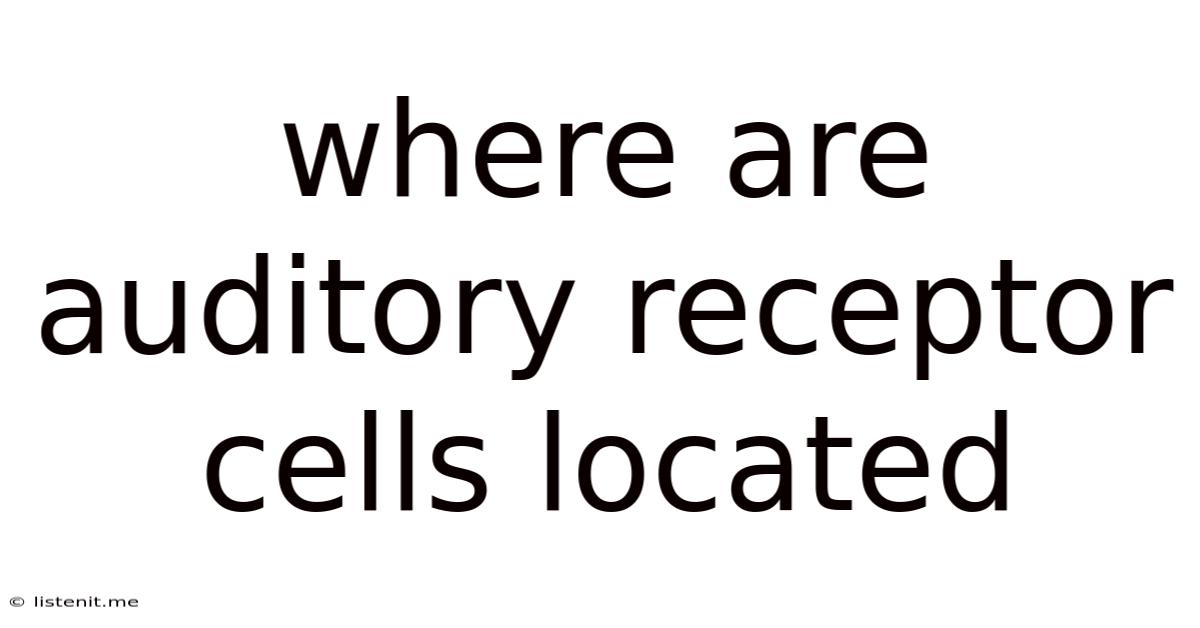 Where Are Auditory Receptor Cells Located