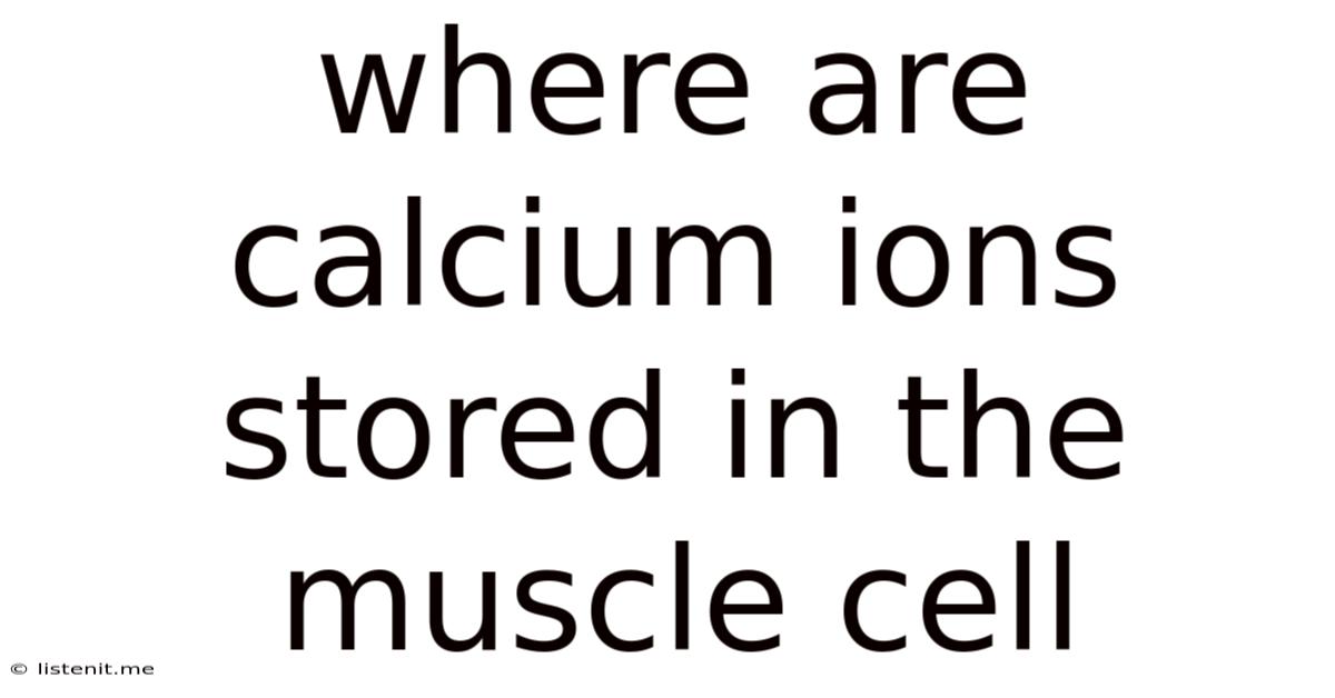 Where Are Calcium Ions Stored In The Muscle Cell
