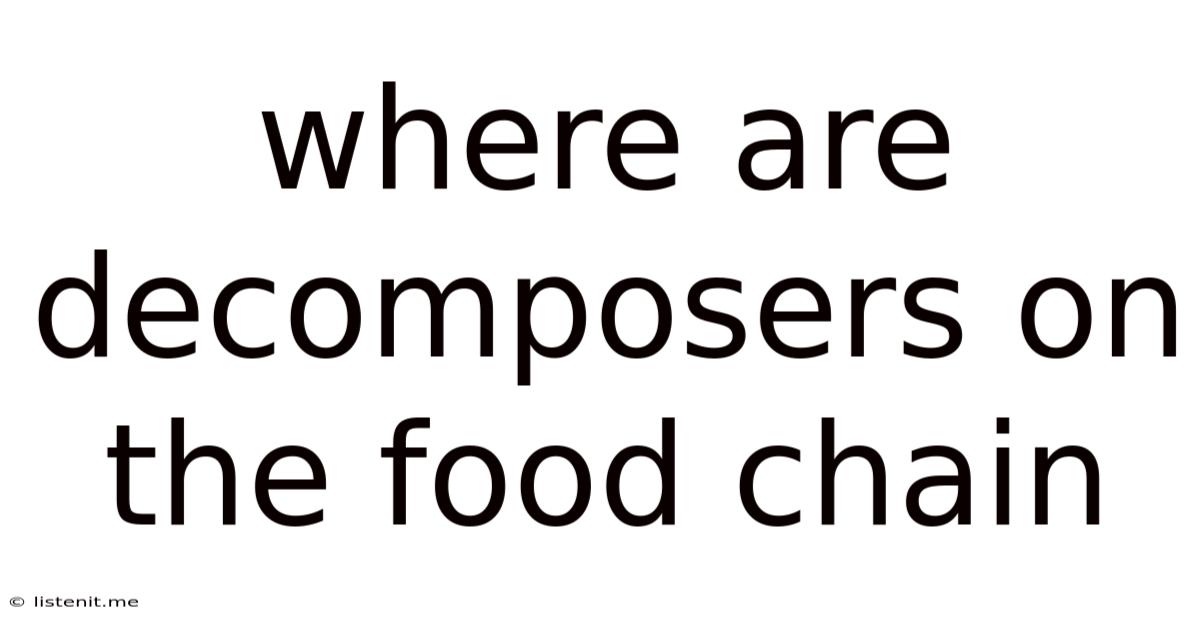 Where Are Decomposers On The Food Chain