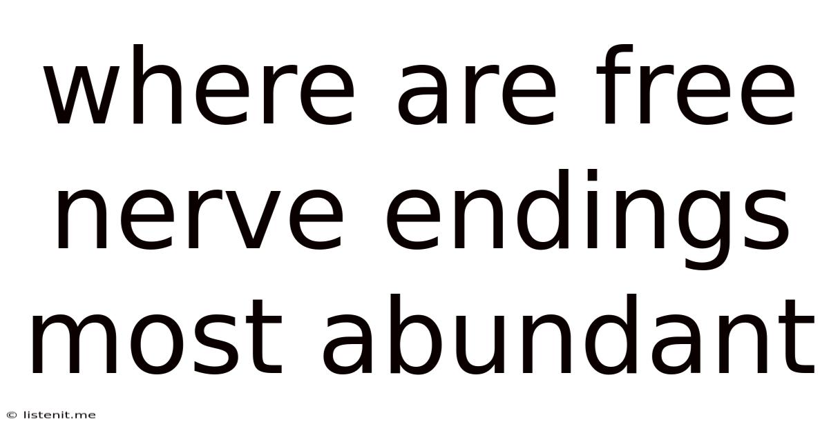 Where Are Free Nerve Endings Most Abundant
