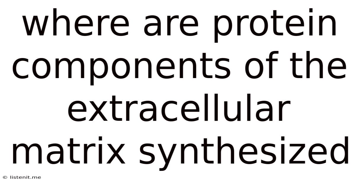 Where Are Protein Components Of The Extracellular Matrix Synthesized