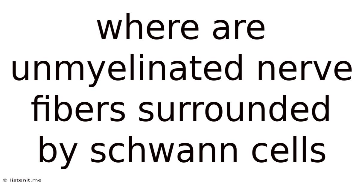 Where Are Unmyelinated Nerve Fibers Surrounded By Schwann Cells