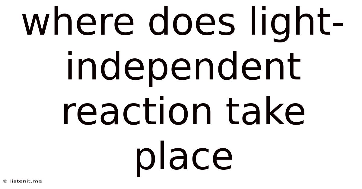 Where Does Light-independent Reaction Take Place