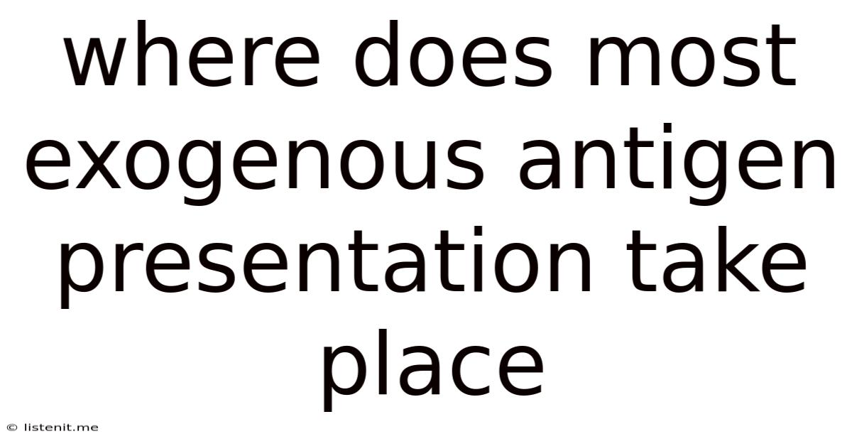 Where Does Most Exogenous Antigen Presentation Take Place
