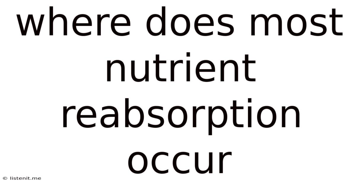 Where Does Most Nutrient Reabsorption Occur