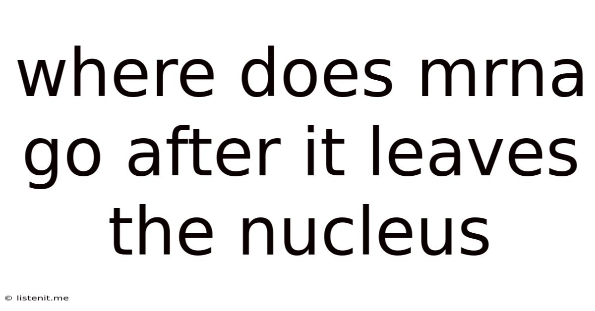 Where Does Mrna Go After It Leaves The Nucleus