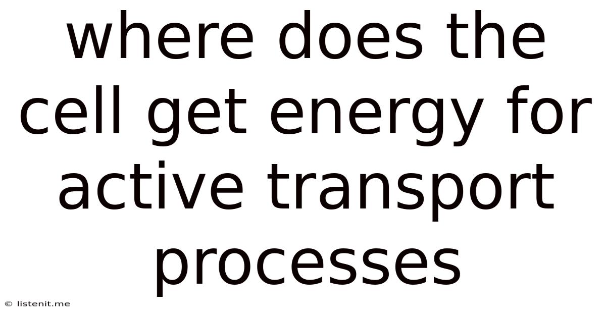 Where Does The Cell Get Energy For Active Transport Processes