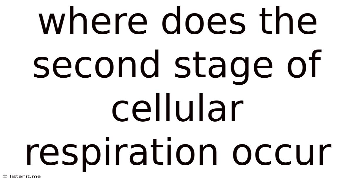 Where Does The Second Stage Of Cellular Respiration Occur