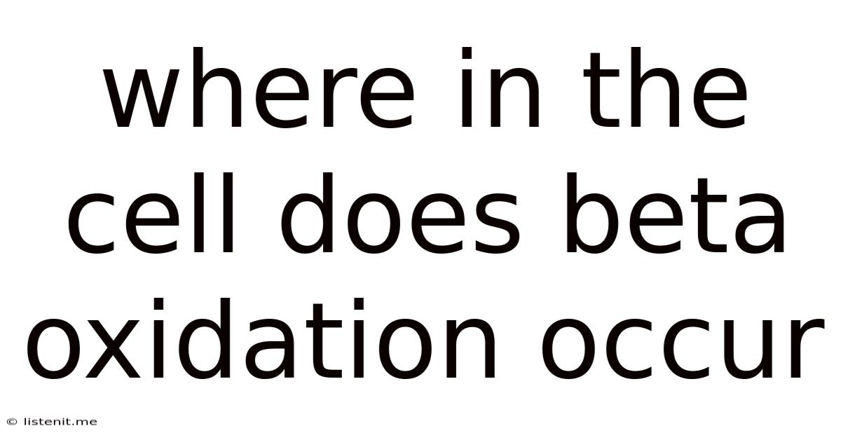 Where In The Cell Does Beta Oxidation Occur