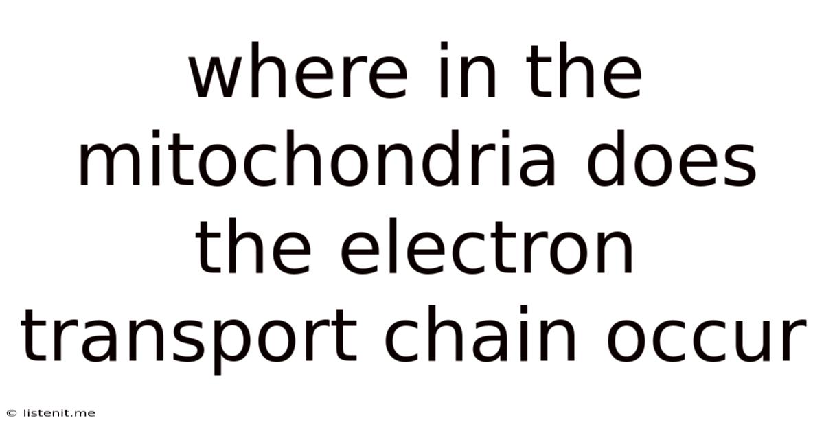Where In The Mitochondria Does The Electron Transport Chain Occur