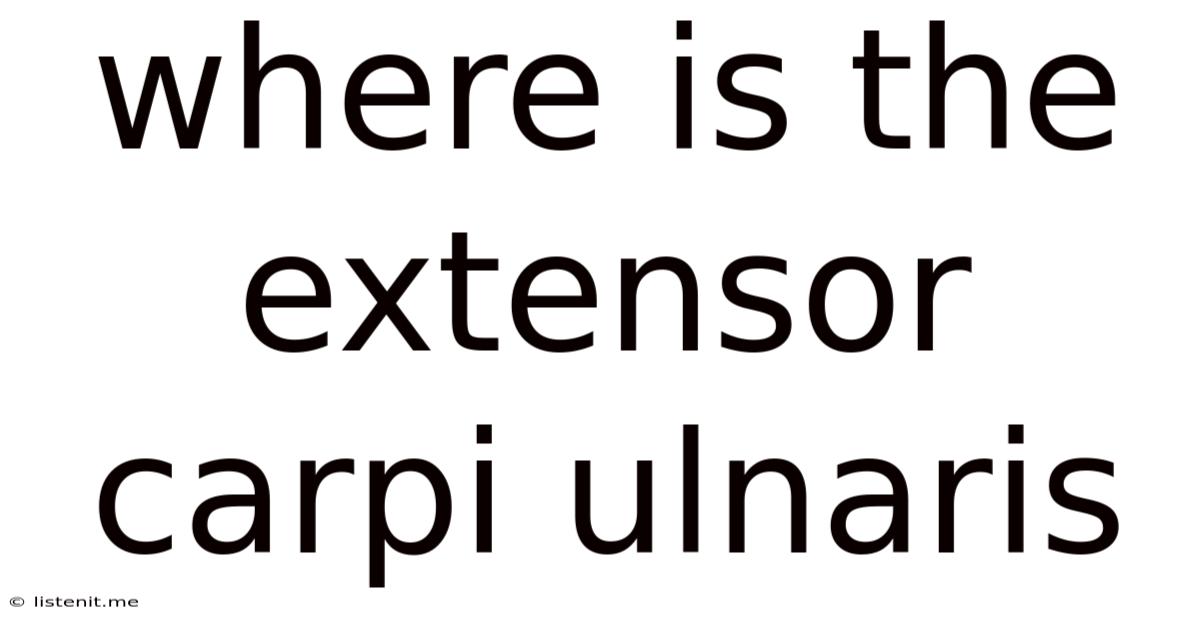 Where Is The Extensor Carpi Ulnaris