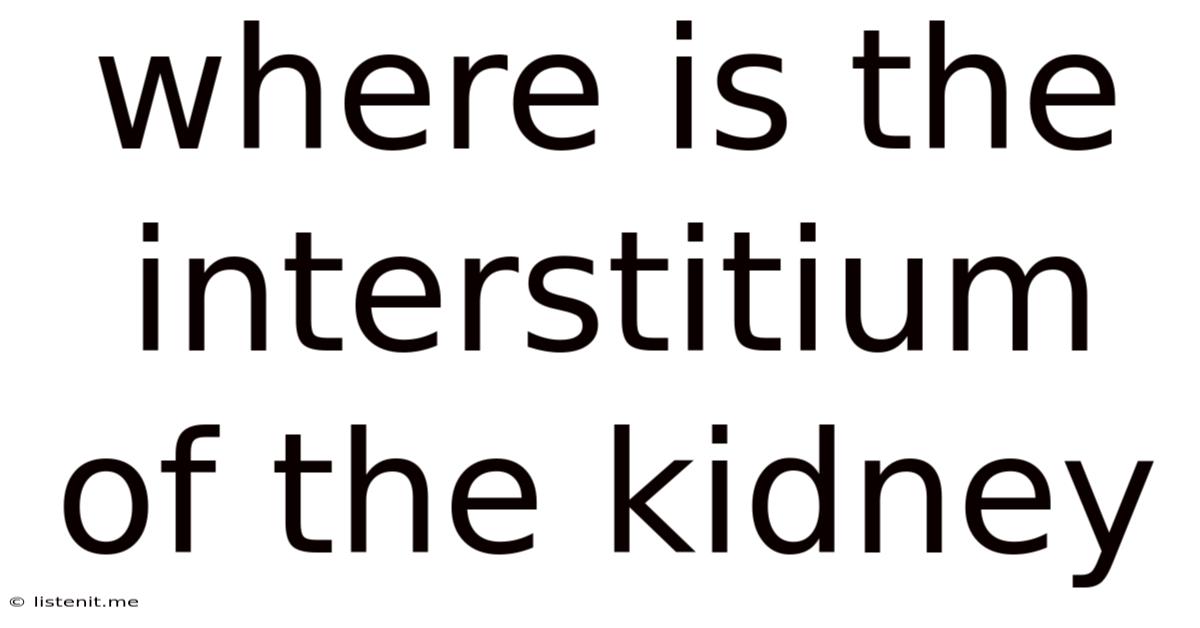 Where Is The Interstitium Of The Kidney