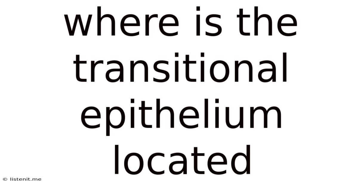 Where Is The Transitional Epithelium Located
