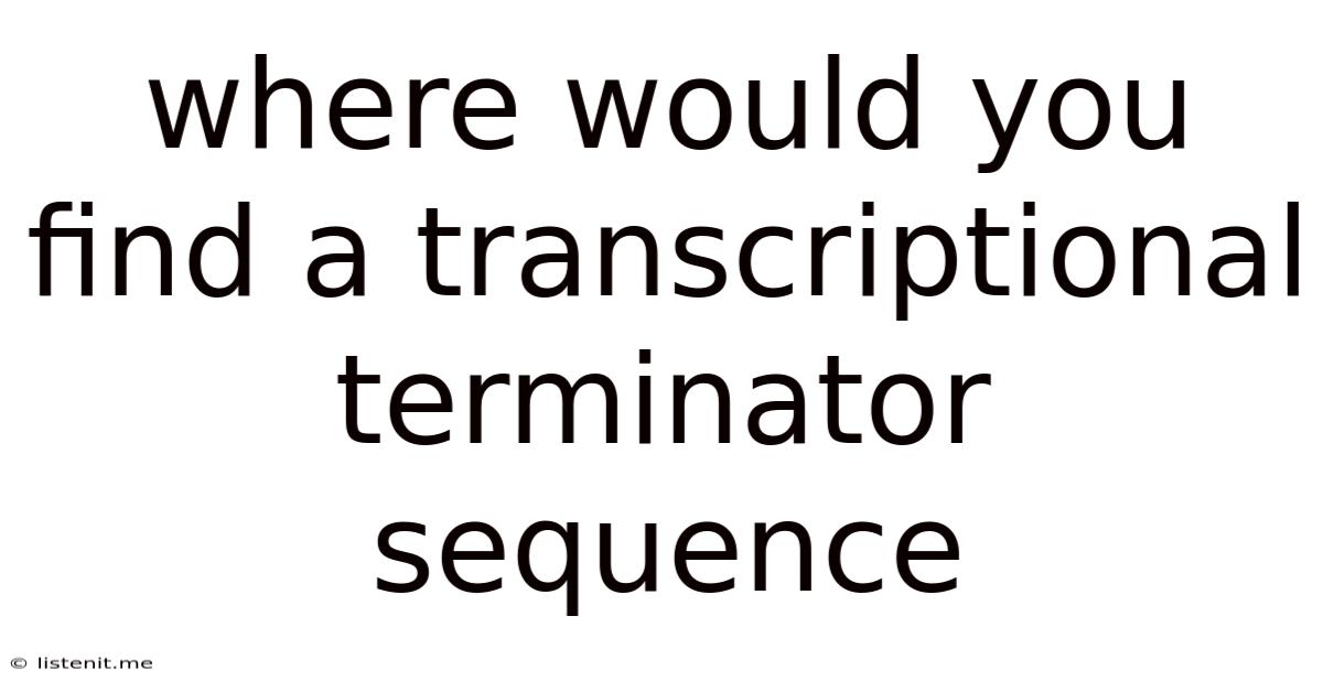 Where Would You Find A Transcriptional Terminator Sequence