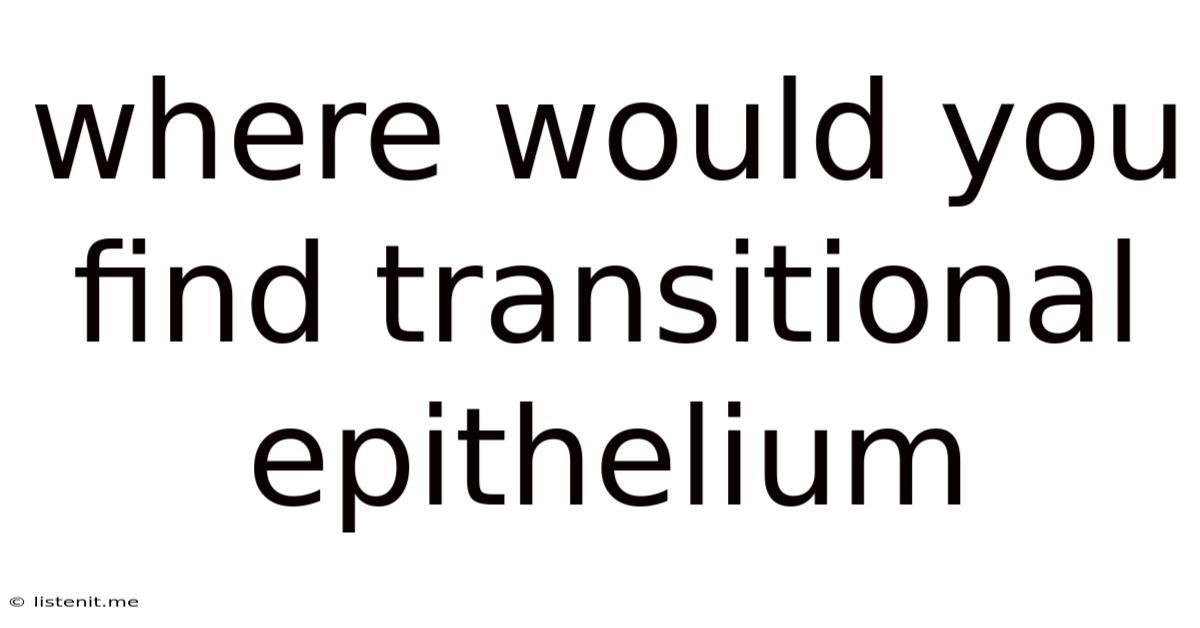 Where Would You Find Transitional Epithelium