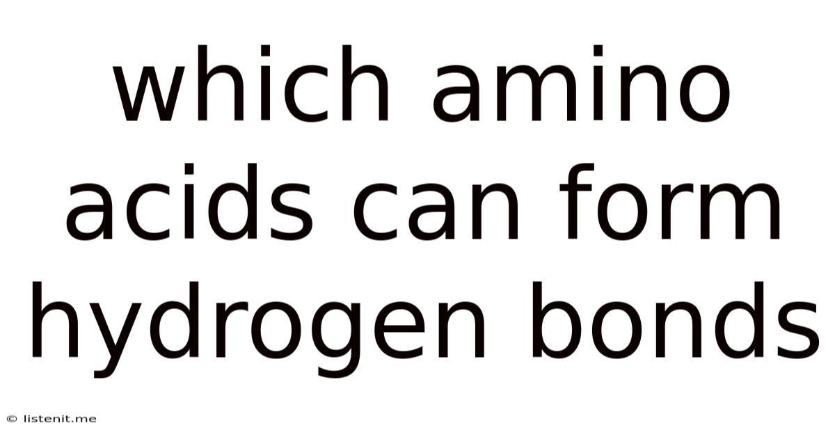 Which Amino Acids Can Form Hydrogen Bonds