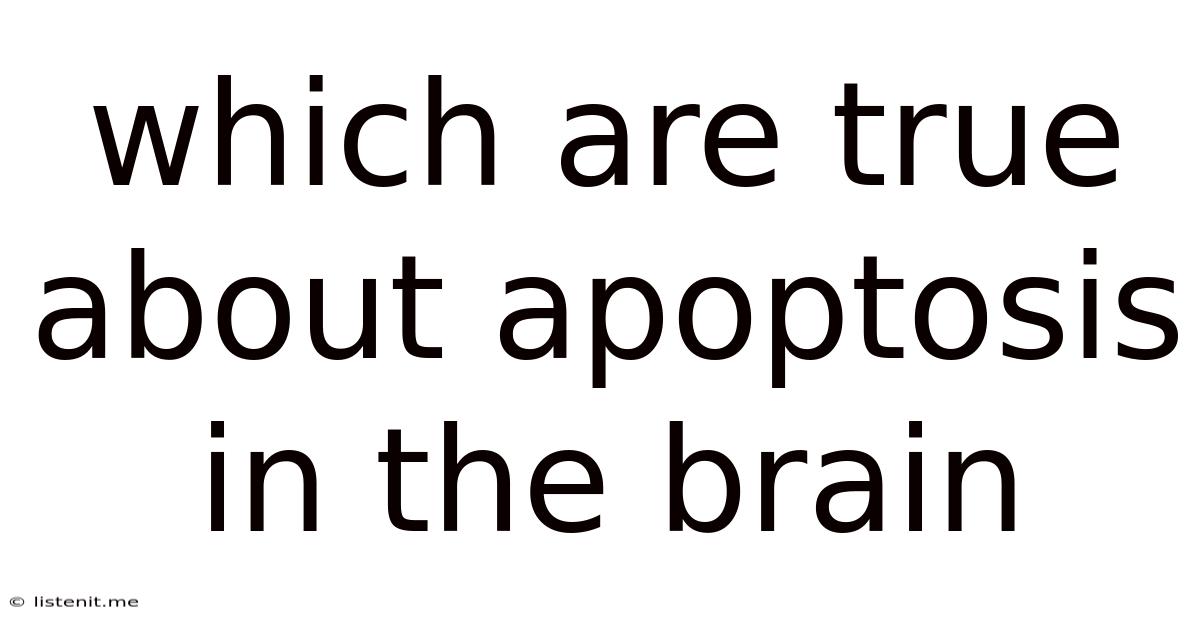 Which Are True About Apoptosis In The Brain