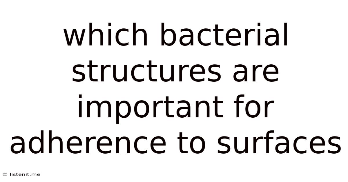 Which Bacterial Structures Are Important For Adherence To Surfaces