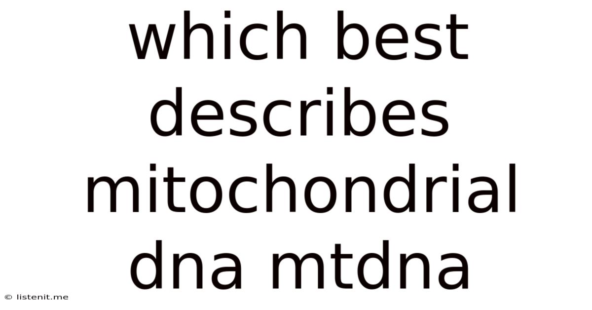 Which Best Describes Mitochondrial Dna Mtdna