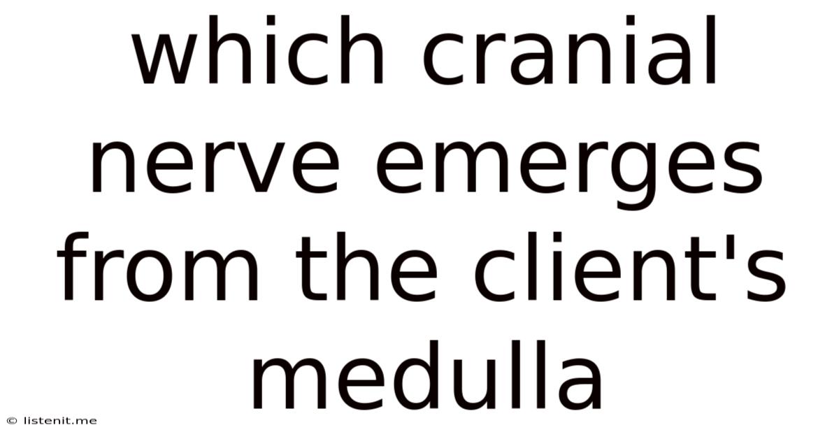 Which Cranial Nerve Emerges From The Client's Medulla