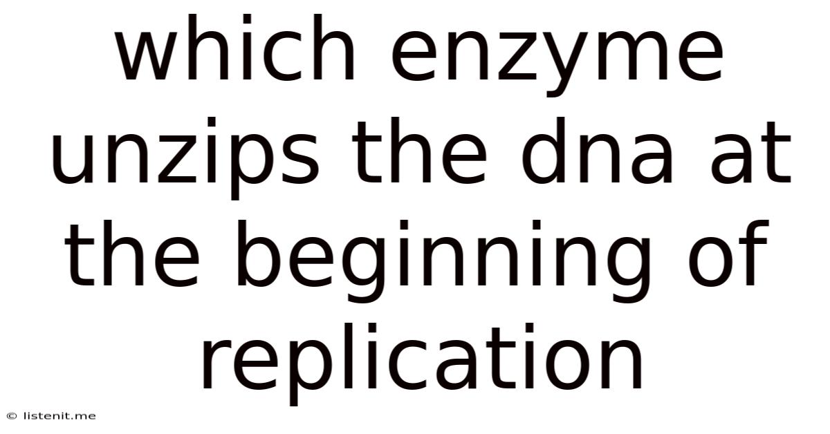 Which Enzyme Unzips The Dna At The Beginning Of Replication
