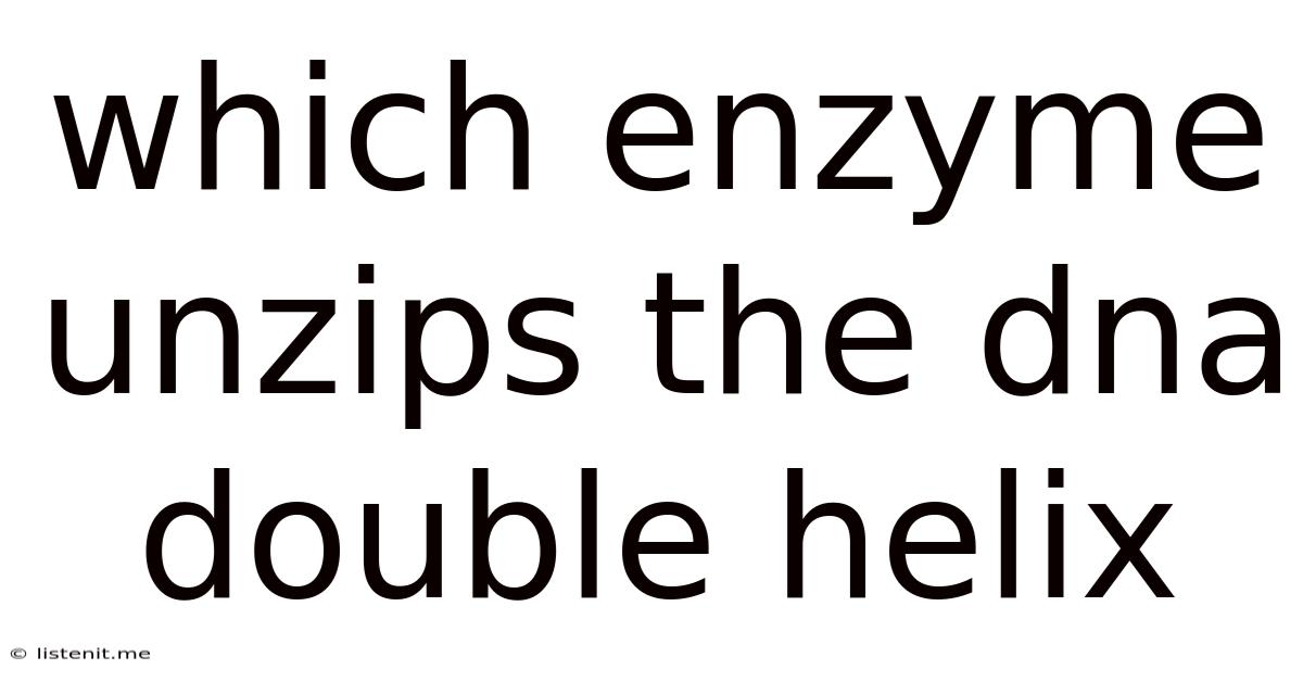 Which Enzyme Unzips The Dna Double Helix