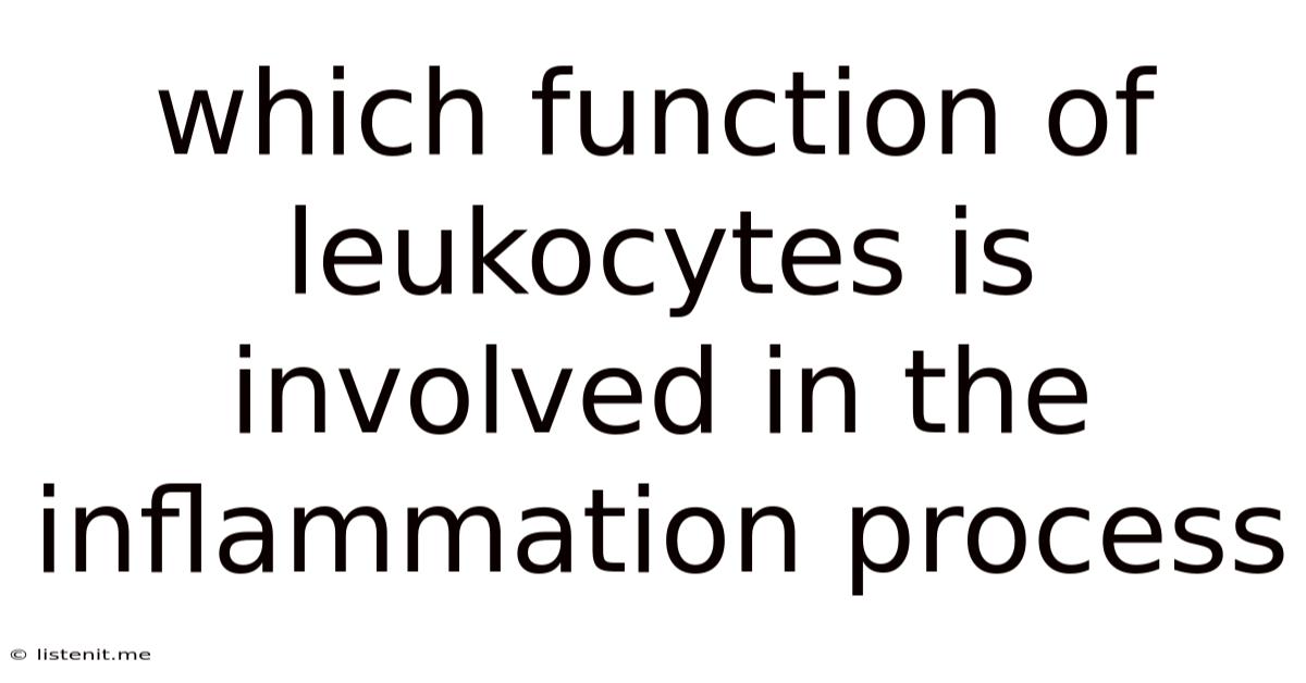 Which Function Of Leukocytes Is Involved In The Inflammation Process