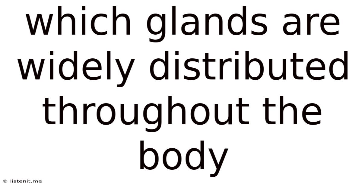 Which Glands Are Widely Distributed Throughout The Body
