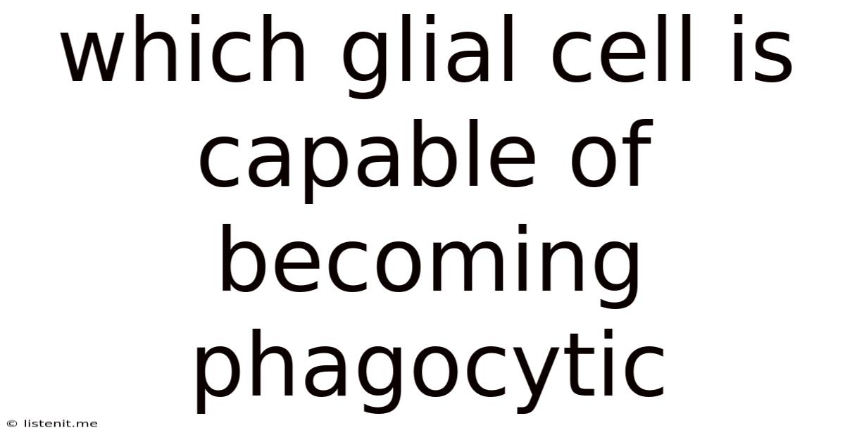 Which Glial Cell Is Capable Of Becoming Phagocytic