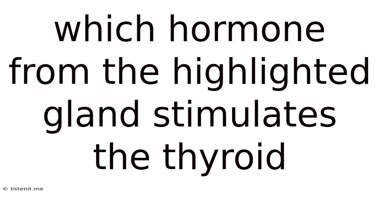 Which Hormone From The Highlighted Gland Stimulates The Thyroid