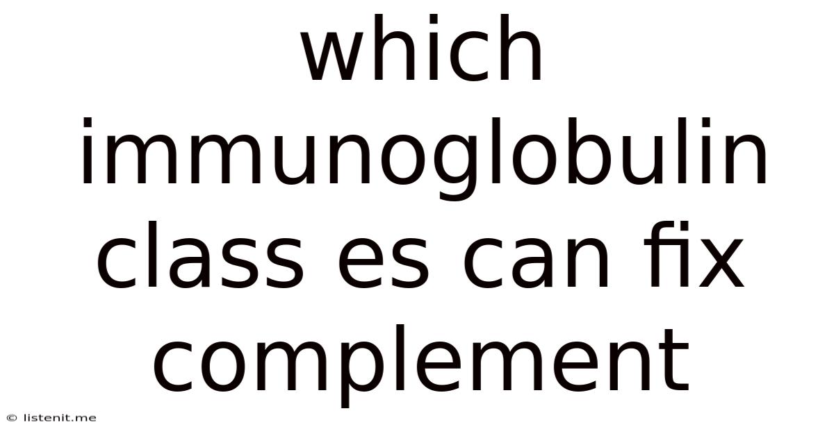 Which Immunoglobulin Class Es Can Fix Complement