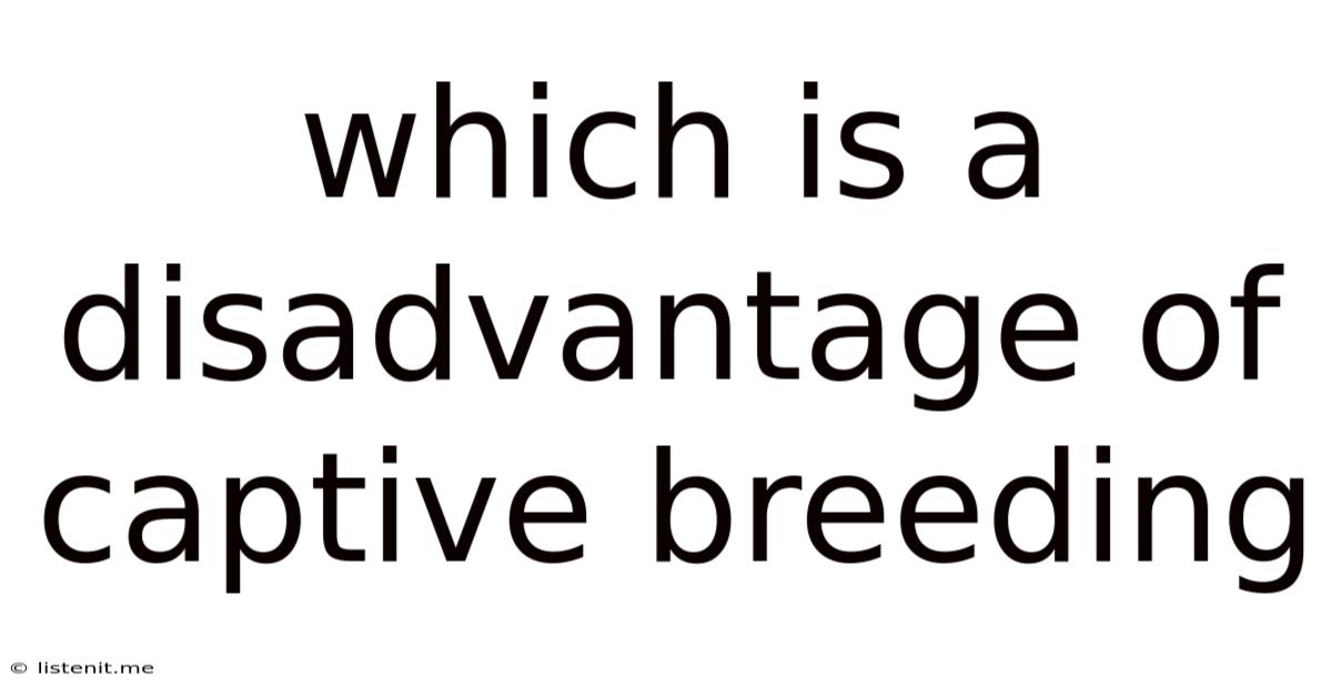 Which Is A Disadvantage Of Captive Breeding