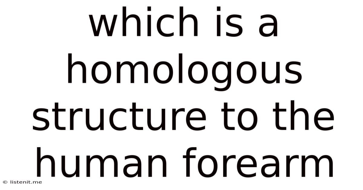 Which Is A Homologous Structure To The Human Forearm