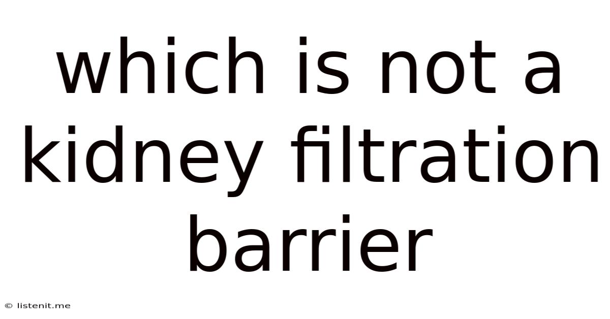 Which Is Not A Kidney Filtration Barrier