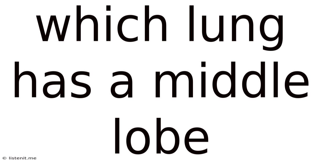Which Lung Has A Middle Lobe