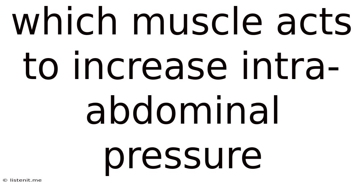 Which Muscle Acts To Increase Intra-abdominal Pressure